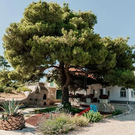 Villa Danka *